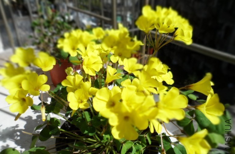 QQͼƬ20140329224415.jpg