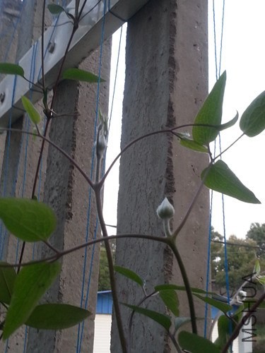 20140326_173917.jpg