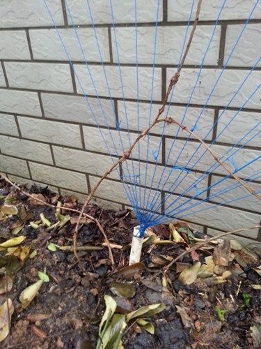 20140329_165354.jpg