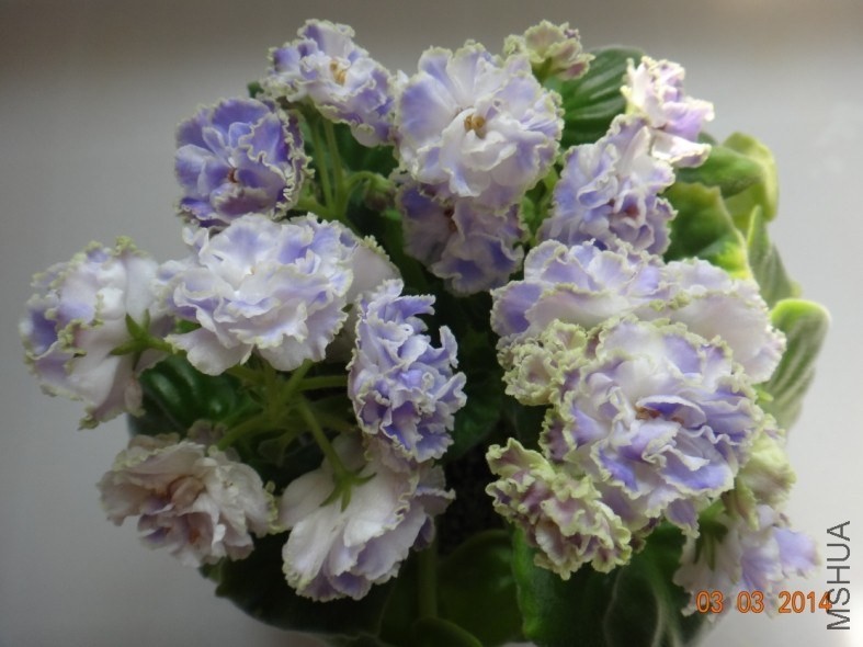 QQͼƬ20140303110048.jpg
