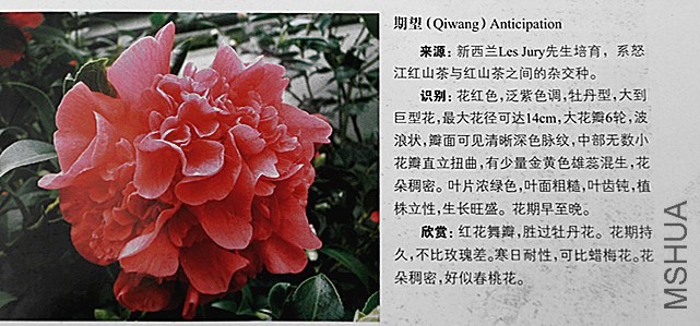 ���ڴ�����˵��