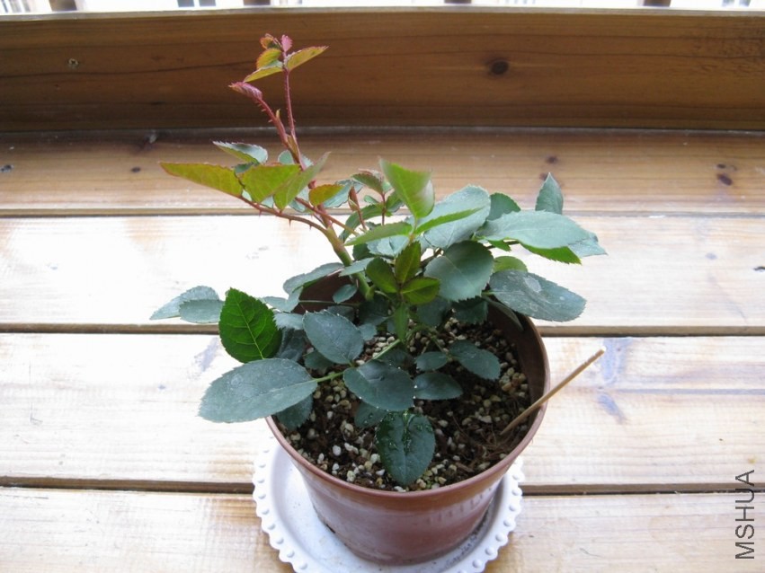 2014012401.jpg