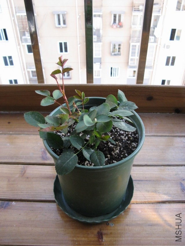 2014012403.jpg