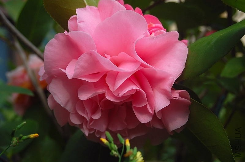 DSC_00280028.JPG