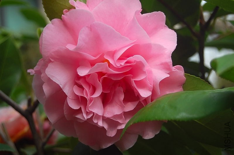 DSC_00220022.JPG