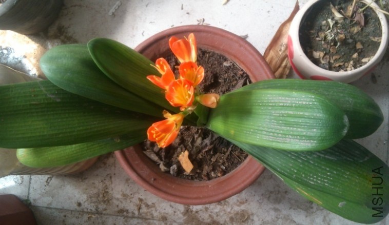 QQͼƬ20140330214110.jpg