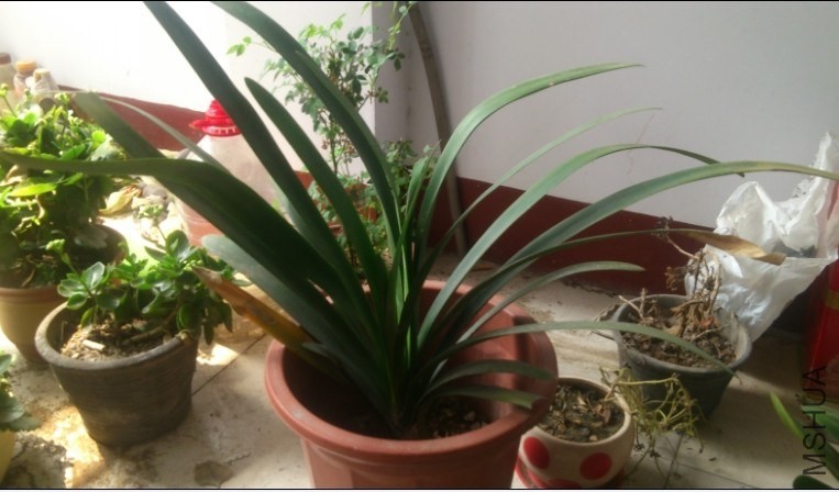 QQͼƬ20140330214158.jpg
