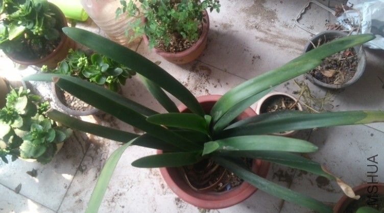 QQͼƬ20140330214209.jpg