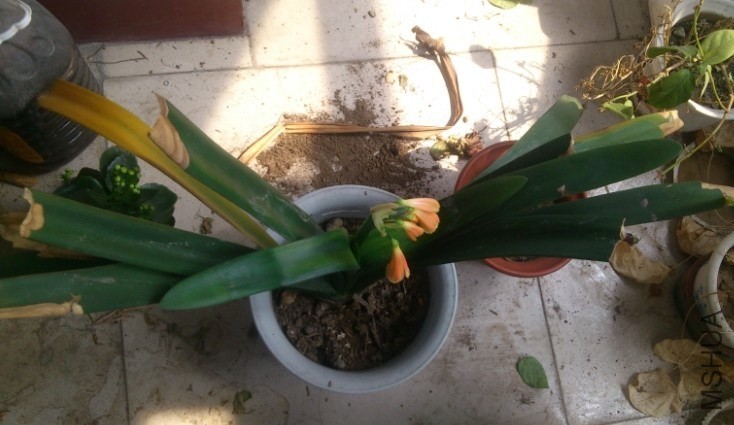 QQͼƬ20140330214220.jpg