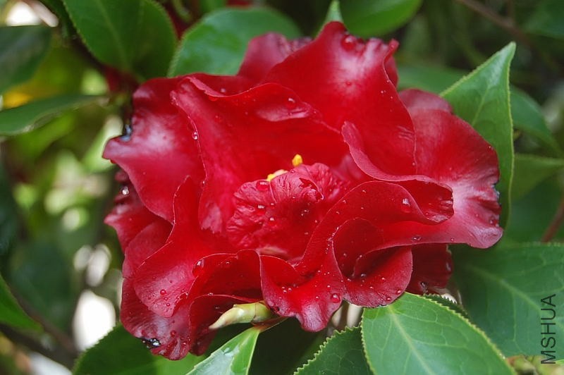 DSC_02540254.JPG