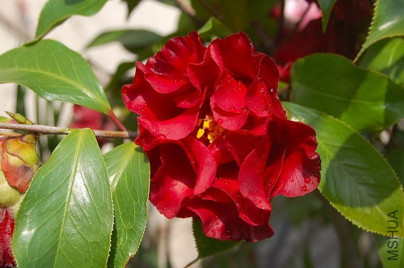 DSC_02550255.JPG