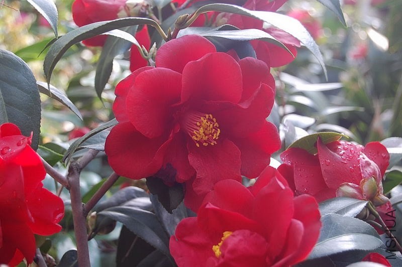 DSC_00020002.JPG