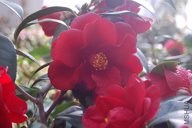 DSC_00030003.JPG