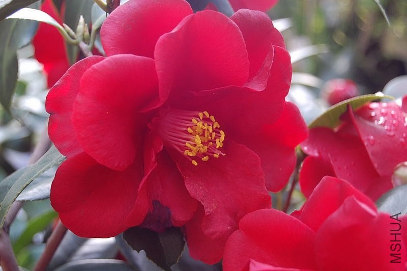 DSC_00040004.JPG