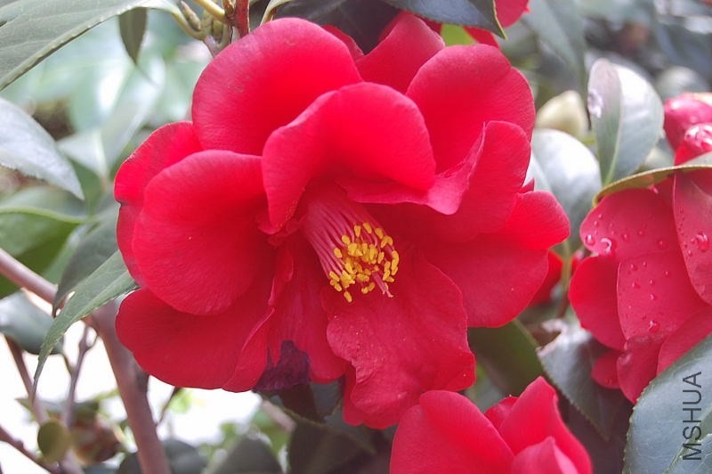DSC_00010001.JPG