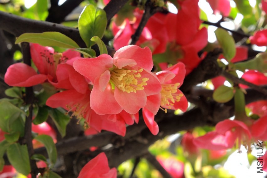 DSCN3705.jpg