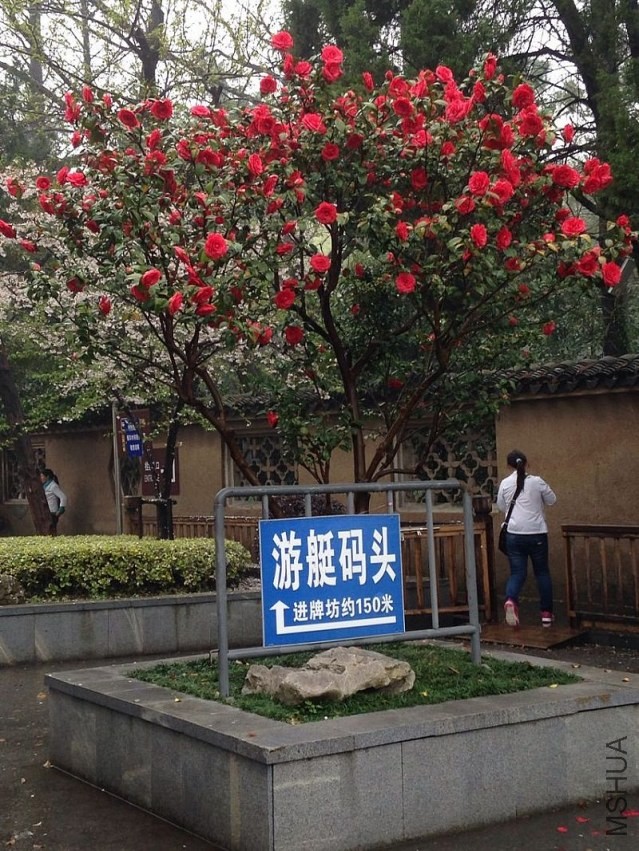 ��ͷ侲軨001s.jpg
