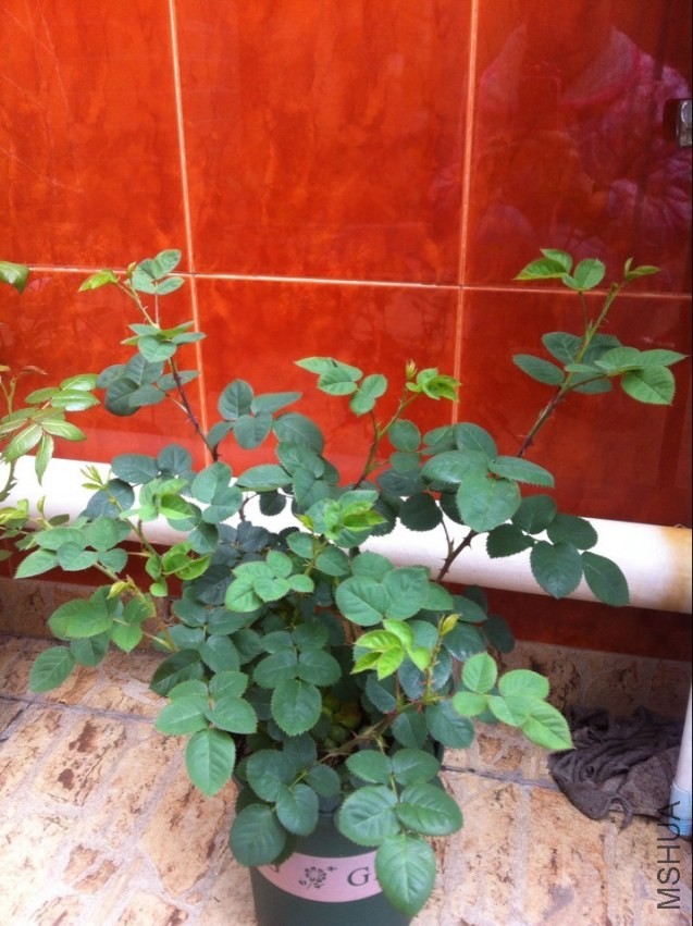 QQͼƬ20140331120239.jpg