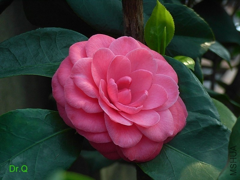 6-���m������-1.JPG