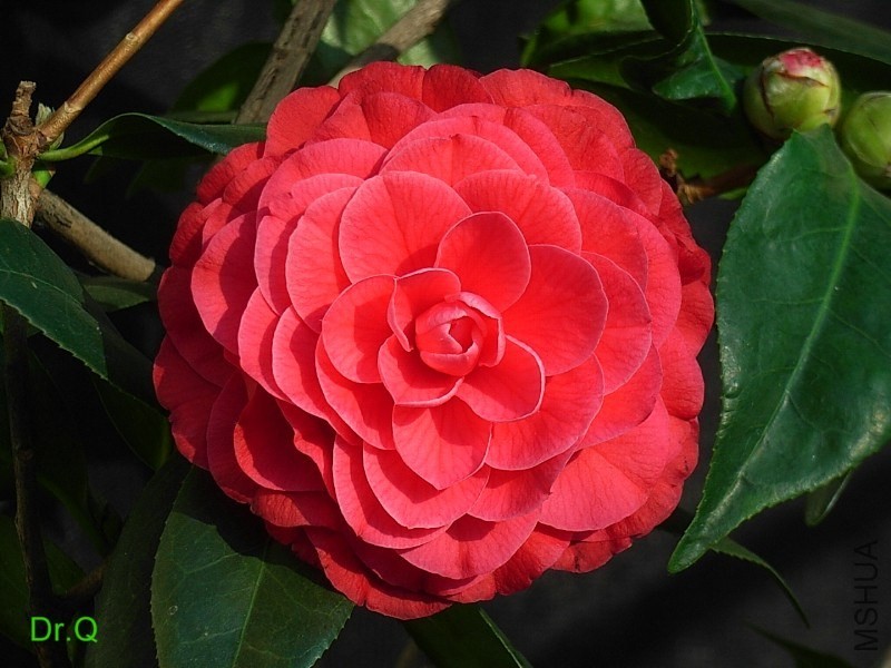 12-�����e-1.JPG