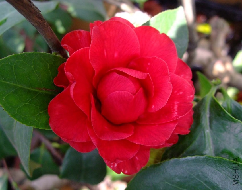 ħ���� 2014-3-30 097.jpg
