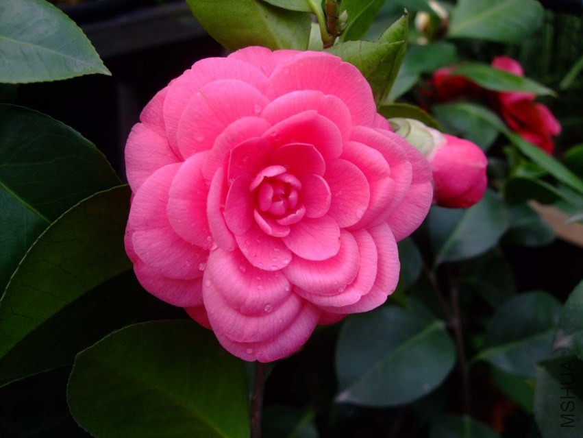 �������� 2014-3-30 050.jpg