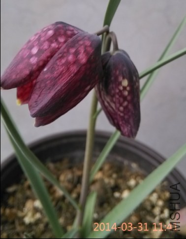 QQ��ͼ20140331191802.jpg