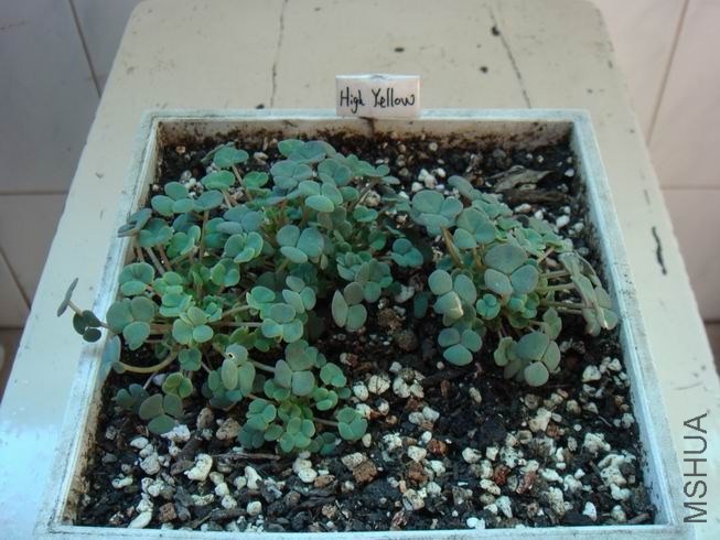 ������С DSC05592.JPG