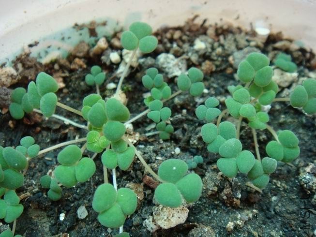 ������С DSC05602.JPG