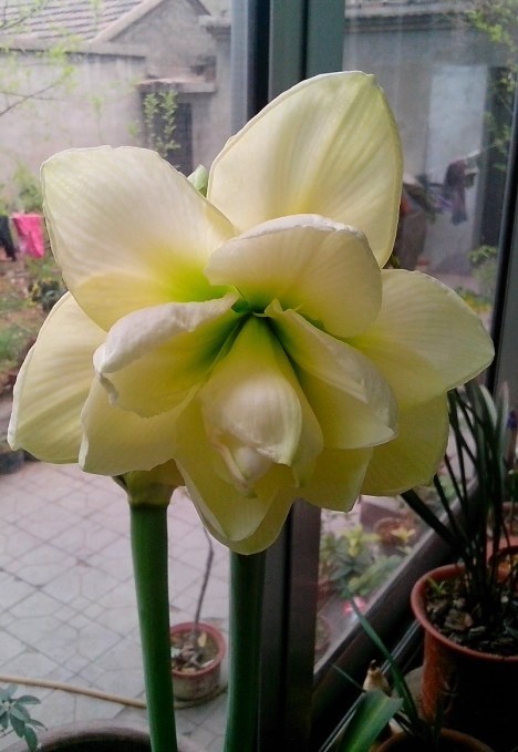 QQͼƬ20140331204127.jpg