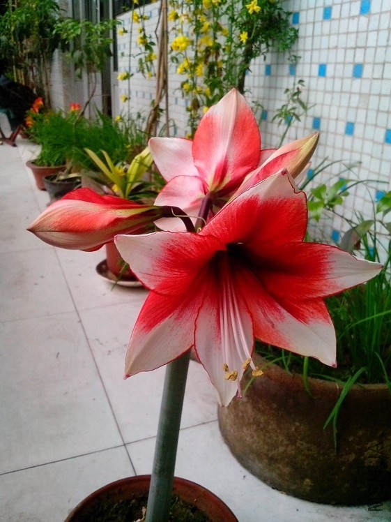 QQͼƬ20140331204130.jpg
