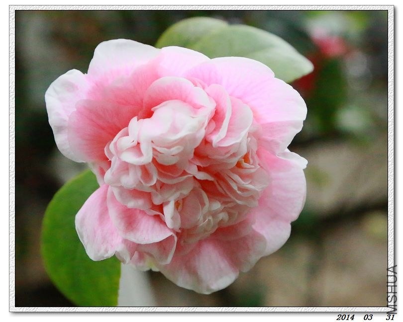 2014033102.jpg