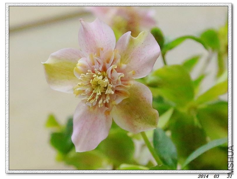 2014033107.jpg