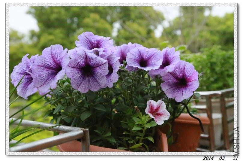 2014033109.jpg