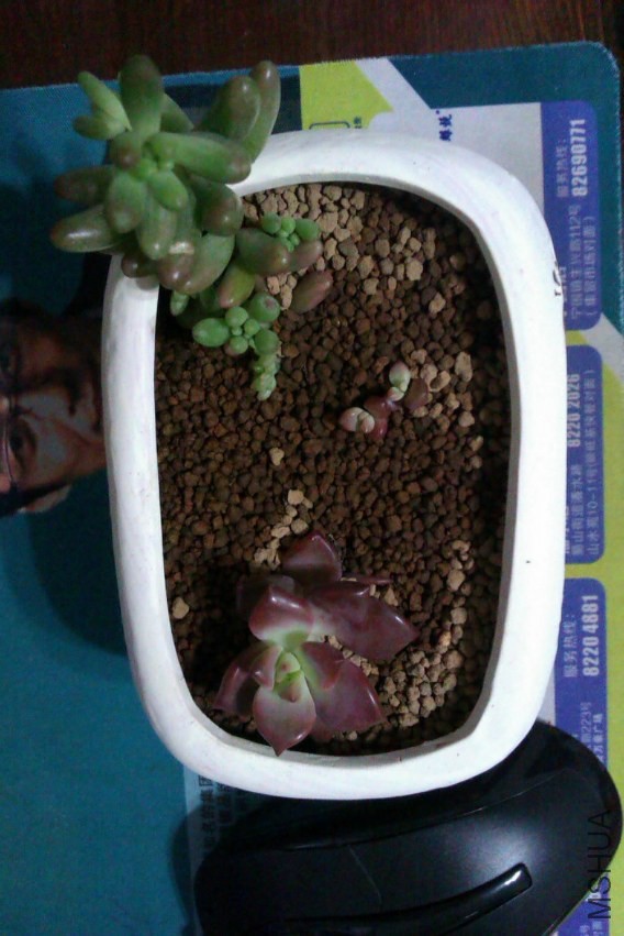 ��һ���������¡���֮�����״̬�ǳ��ã��ܱ���