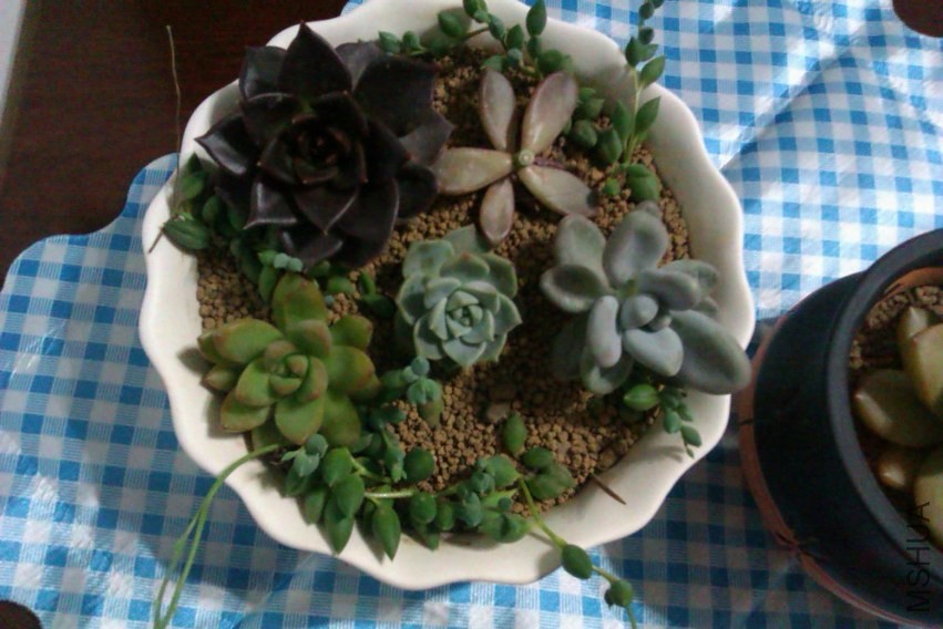 ���һ���˿��..Ӧ�ö��ϵİ� �Ͳ������ˣ�����һ��ǰ����ձ��ҿ�ͷ��