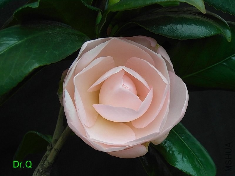 2-�����o��-1.JPG