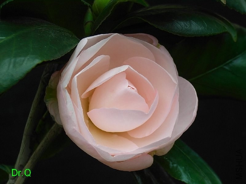 2-�����o��-2.JPG