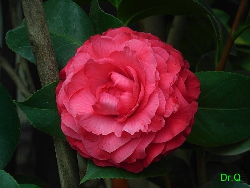 4-�B�tõ��-2.JPG