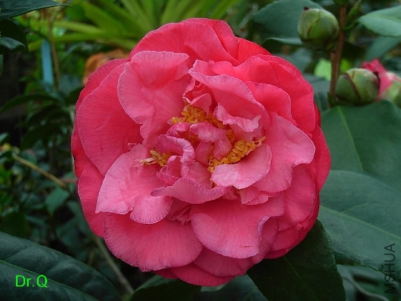 5-���m���_-1.JPG
