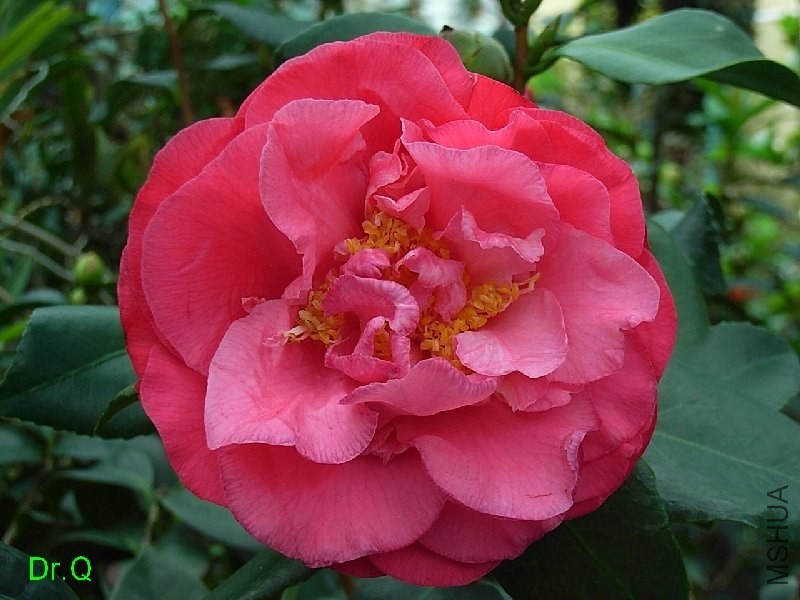 5-���m���_-2.JPG