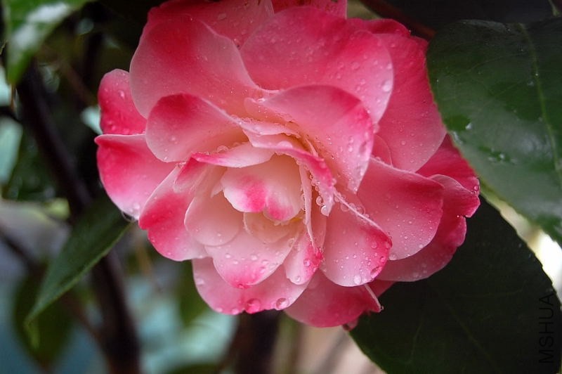 DSC_00140014.JPG