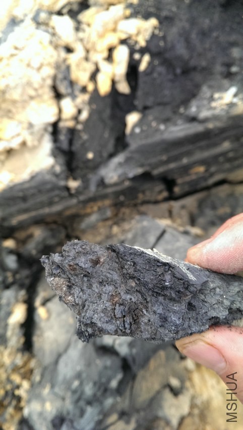 �Ƚ�����