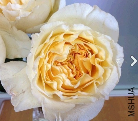 QQ20140221083220 (1).jpg