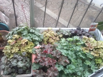 201404021437.jpg