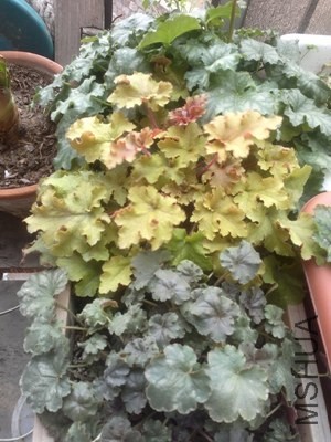 201404021438.jpg