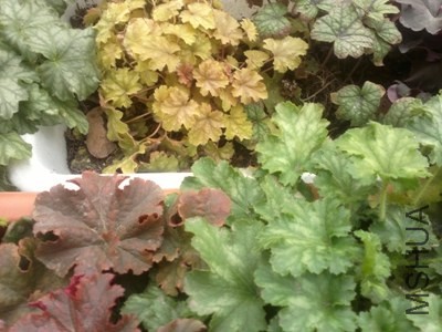 201404021440.jpg