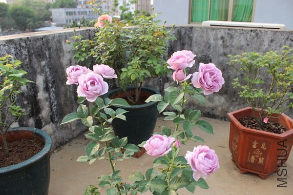��ɫ�籩09.jpg
