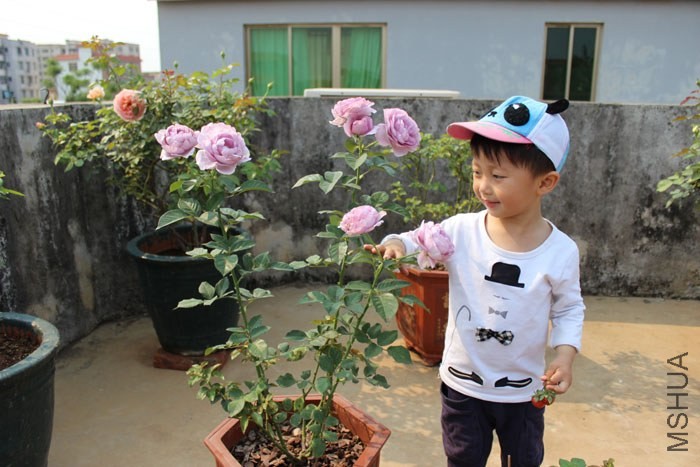 ��ɫ�籩13.jpg