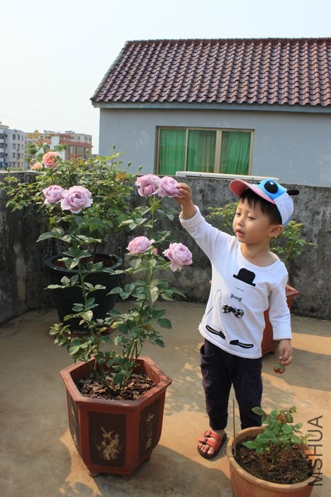 ��ɫ�籩15.jpg